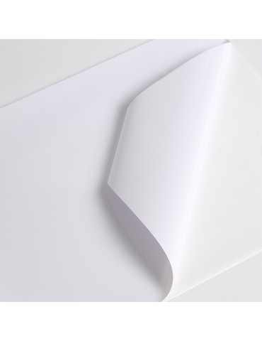 V201WG1 - White Gloss adh permanent clear