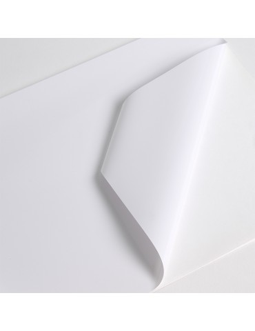 V211WG1 - White Gloss adh removable clear