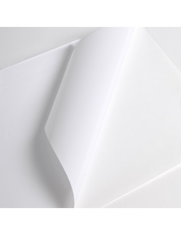 V3001WG - White Gloss adh permanent clear