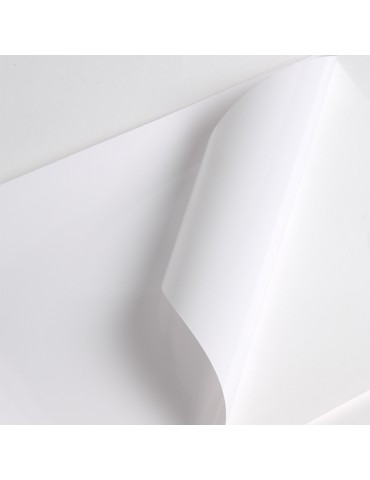 V301WG1 - White Gloss adh permanent clear