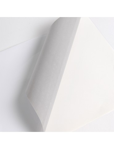 V3000WG - White Gloss adh permanent grey