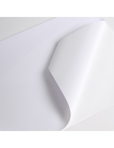 VCXR201WG1 - White Gloss adh permanent extra-reinforced clear