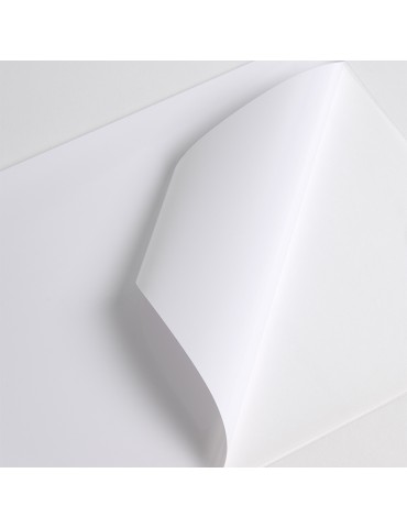 HX201WG2 - White Gloss adh permanent clear