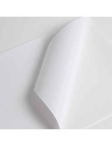 HX3001WG2 - White Gloss adh permanent clear