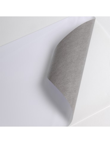 HX240WG2 - White Gloss adh permanent grey