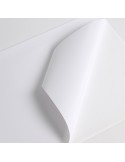Image produit ID 485