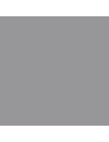 MC30 - Silver Gloss