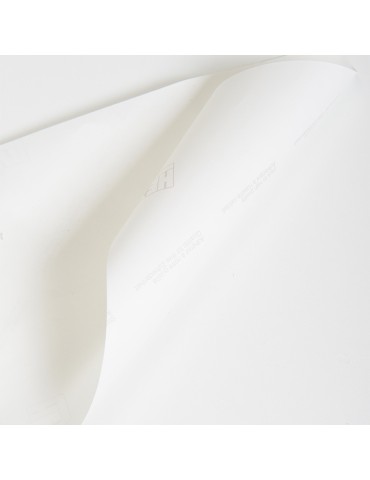 PAPPERDU - Siliconised Paper