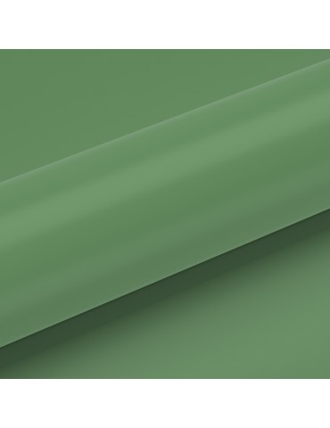 CC13 - Light Green