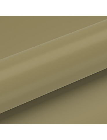 CC20 - Gold