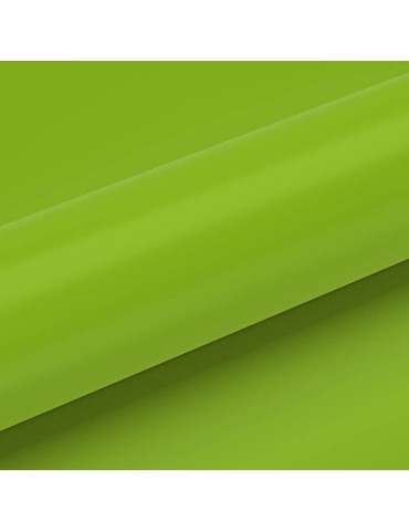 SC67 - Apple Green